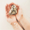 All You Need To Know About Crystals For Wealth